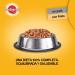 Pedigree Pack of 12 cans of 800 g of wet food for dogs with chicken flavour in pate - Buy Online on GoSupps.com