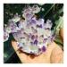 Natural Crystal Rough Natural Crystal Cluster Amethyst Ore Purple Quartz Stone Raw Crystal Home Decor Crafts (Size : 300-400g)