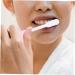 5ST Small Head Soft Toothbrush - Ideal for Kids & Adults | Bulk Purchase Travel Dental Care Accessories - Buy Online on GoSupps.com