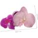 FRCOLOR Phalaenopsis Hairpin Floral Decor Flower Decorations Hair Claw Clip Hair Snap Clips Hair Holder Hair Clip Hair Pin for Cute Hairpin Hair Decoration Hairpin Cloth - Buy Online on GoSupps.com