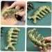 Plafope Jade Massage Comb - Creative Body Acupuncture and Massage Tool | Reliable Handcrafted Green Jade Device (11.50x4.50cm) - Buy Online on GoSupps.com