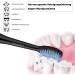 L chen Replacement Brush Head for All L chen Electric Toothbrushes - S121 Black 4 Pieces - Optimal Cleaning & Performance - Buy Online on GoSupps.com