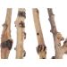 emours Reptile D cor Natural Forest Branch Terrarium Wood Aquarium Ornament 4 Pack - Buy Online on GoSupps.com