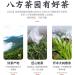 Pu-erh tea 2018 Shangpin 357g Raw - Buy Online on GoSupps.com