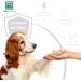 Menforsan Skin-Protecting Moisturizer for Dogs & Cats - 60 ml | 100% Natural Aloe Vera - Organic Certified - Buy Online on GoSupps.com