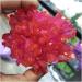 Natural Crystal Rough Crystal 300-400g Red Electroplated Natural Crystal Cluster Raw Rock Quartz Flowers Aura Stones Gift Modern House Decor - Buy Online on GoSupps.com