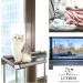 Lcybem Cat Window Hammock - Sturdy Suction Cups Window Perch for Cats - Holds Two Large Cats - 360 Sunbathe - Indoor Cat Window Seat - Buy Online on GoSupps.com