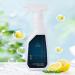 Kitchen Cleaner Foam Heavy Oil Cleaner Household Heavy Oil Range Hood Cleaner Multi-Purpose Foam Cleaning Spray Suitable for Range Hood Oven Pot Sink - Buy Online on GoSupps.com