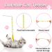 Fanshiontide 3 Packs Cat Wand Interactive Cay Toy Cat Feather Toys with Plush Balls and Bells Cat Teaser Wand for Indoor Cat Kitten Hunting Exercising Eliminating - Buy Online on GoSupps.com