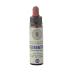 Scleranthus n 28 Fleur de Bach farmaflor 1 Flacon Comtpe Gouttes 10ml - Made in Italy