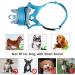 Nasjac Soft Dog Muzzle for Medium Dogs - Adjustable Anti-Bark Solution | Durable & Comfortable for Small & Large Breeds - Buy Online on GoSupps.com
