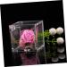 Healeved 6pcs Transparent Candy Container Box Clamshell High Transparency 6*6CM As Shown - Buy Online on GoSupps.com