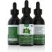 Chlorophyll Liquid Drops - Natural Energy Booster and Immune Support - Detox & Deodorant - Altitude Sickness Relief - Vegan & Non-GMO - 120 Servings - 2 Ounce - Buy Online on GoSupps.com