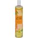 NATURE'S ALCHEMY Sweet Almond Carrier Oil - 0.75 lbs | Premium Quality for Skincare & Haircare | International Shipping Available - Buy Online on GoSupps.com