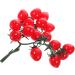 Warmhm 4pcs String Simulated Cherry Tomatoes Artificial Vegetables Artificial Vegetable Model Mini Model Fruit Faux Cherry Tomatoes Artificial Fruit Decor Child Fake Fruit Pvc Fake Food - Buy Online on GoSupps.com