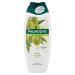Palmolive Olive Shower Gel 500 ml