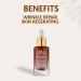 GOLD COLLAGEN Night Renewal - Face Serum for a Boost of Collagen & Elastin Skin Regenerator & Natural Substitute for Retinol - Anti Aging Face Serum Against Fine Lines & Wrinkles - Alcohol Free 30 ml - Buy Online on GoSupps.com