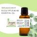 Eucalyptus Essential Oil (80/85) - 100% Pure Essential Oil 16 fl oz - Aluminum Bottle - Greenhealth - Buy Online on GoSupps.com