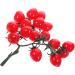 Ciieeo 4pcs String Simulated Cherry Tomatoes Kids Educational Toy Simulation Realistic Foam Food Mini Toys Decorative Cherry Tomatoes Faux Pvc Red Child Household Small Tomatoes Redx4pcs 18X16CMx4pcs - Buy Online on GoSupps.com