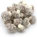 Old Timers Taveners Coconut Mushrooms in Reusable Retro Victorian Style 970 millilitre Plastic Jar 600 grams - Buy Online on GoSupps.com