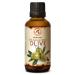 Olive Oil Extra Virgin 1.7 Fl Oz - 100% Pure Unrefined - Best for Hair - Skin - Nails - Lips - Face - Body - Scalp - Great for Beauty - Massage Oil Base - Spa - Olive Oil Cold Pressed - Glass Bottle 1.7 Fl Oz (Pack of 1)