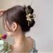 4 Pcs Cute Butterfly Hair Clips for Women & Girls - Metal Jaw Clips in Pink, Green, Brown & Blue - Buy Online on GoSupps.com