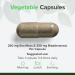 Sea Moss Capsules 500mg - Vegan Superfood with Irish Sea Moss & Bladderwrack - 100% Natural No Additives - 90 Capsules by Raw Powders - Buy Online on GoSupps.com