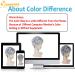 QUEENTAS Ombre Gray Pixie Cut Wig - Short Straight Layered Synthetic Hair for Women - Buy Online on GoSupps.com
