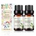 2-PACK Lily of Valley Essential Oil - 100% Pure Organic Natural Plant (Convallaria majalis) Lily of Valley Oil for Diffuser Aroma Spa Massage Yoga Perfume Body - 2x10ML