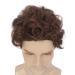 STfantasy Men Wigs - Layered Wavy Fluffy Cosplay Wig for Parties (Light Brown) - International Shipping - Buy Online on GoSupps.com