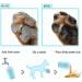 bealy Large/Petite Dog Paw Cleaner Cup - Portable Dog Foot Washer with Silicone Washers in Blue/Green - Easy-to-Use and Handy Dog Paw Washer - Nice Packaging - Buy Online on GoSupps.com