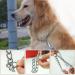 3mm X 55cm Choke Chain Metal Dog Chain Pet Training Choker Non-Slip Collar for Walk The Dog or Puppy Training Walking With Tag Nameplate - Buy Online on GoSupps.com