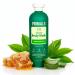 PRIMALS Natural Body Wash - Aloe Vera Raw Honey Green Tea - Natural Ingredients - Zero Artificial Fragrances Sulfates Parabens or Dyes - 13.5 Fl Oz