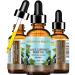 Black Currant Seed Oil - 100% Pure Cold Pressed Carrier Oil for Skin, Hair, Lips & Nails - Rich in Omega 3, 6, 9 Fatty Acids - 2 Fl oz (60ml) - Buy Online on GoSupps.com