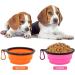 Collaborative Dog Bowl & Collapsible Water Bowl - Portable 350ml Pet Food Bowl for Dogs & Cats (Pink + Orange) with Carabiner - Buy Online on GoSupps.com