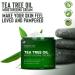 MAJESTIC PURE Tea Tree Oil Moisturizing Cream 16 oz - Ceramides, Vitamins A & E, Vegan Collagen - Moisturizer for Body, Face & Feet - For Dry, Oily Skin, Wrinkles, Acne & Scars - Buy Online on GoSupps.com