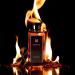 Merve Intense Premium Long Lasting Fragrance Luxury Scent For Men | Citrus Fruity Amber - Buy Online on GoSupps.com