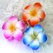 8pcs Flower Claw Clip Set - Cute Hawaiian Hair Clips for Women and Girls - Strong Hold Nonslip Design - Perfect Gift Idea - Buy Online on GoSupps.com