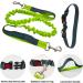 QitinDasen Hands Free Dog Leash Grey Adjustable Waist Belt and Green Dual-Handle Retractable Bungee Leash Jogging Dog Leash with Reflective Stitching - Buy Online on GoSupps.com