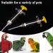 Bird Feeding Syringe Set Baby Birds Syringe Feeder Parrot Feeding Syringe Tube Measuring Syringe Budgie Pet Hand Rearing Feeding Syringes Baby Birds Feeding Syringe Used for Feeding Milk Medicine - Buy Online on GoSupps.com
