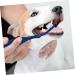 BESPORTBLE 3pcs Pet Double Toothbrush Finger Dog Toothbrush Cat Toothpaste Dog Teeth Cleaning Tools Pet Oral Pp 1 count (Pack of 1) Blue - Buy Online on GoSupps.com