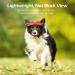 Pawaboo Dog Baseball Cap - Adjustable Sports Cap with Elastic Ear Holes for Small Medium & Large Dogs | Sun Protection Dog Outfit (Red M) - Buy Online on GoSupps.com