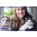 FELIWAY Friends Diffuser Refill (FELIWAY MultiCat) - Use with FELIWAY Cat Diffusers - Helps Reduce Fighting Tension and Conflicts Between Cats in The Home (30 Day Supply FELIWAY Refill D894) - Buy Online on GoSupps.com