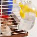 50Ml Pets Hamster Drinking Water Dispenser Small Animal Feeder Bottles Yellow Practical - Buy Online on GoSupps.com