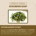 Buy Oriental Herbal Scrubbing Soap 120g - Natural Exfoliating Cleanser for Glowing Skin | International Shipping Available - Buy Online on GoSupps.com