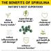 Sunlit Best USDA Organic Spirulina Tablet - Immune Support & Energy Drink with Chlorophyll - 1000 Superfood Tabs - Buy Online on GoSupps.com