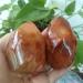 Specimen Healed 2pcs 65-75mm Red Agate Crystal Flame Natural Carnelian Quartz Torch Grey Yellow Gemstones Crystals Reiki Stones Decor As a Gift Home Goods - Buy Online on GoSupps.com