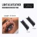 Individual Eyelashes 0.20 D Curl Extensions | 14mm Single Size 1 to 1 Eyelash Extensions by Gemerry - Shop Now - Buy Online on GoSupps.com