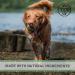 Pets Purest Wet Dog Deodorant Spray 300ml - 100% Natural Deodoriser Bad Smell Eliminator & Fragrance Free Cologne Perfume Spray for Pro Grooming - Buy Online on GoSupps.com