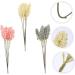 Zerodeko 36 Pcs Artificial Corn Ear Fake Flower Rustic Decor Wheat Ear Crafts Harvest Decoration Wedding Vases Natural Wheat Ear Wheat Ears Flowers Naturales Bride Display Plastic Air Dry Assorted Colorx2pcs 30X1.5CMx2pcs - Buy Online on GoSupps.com
